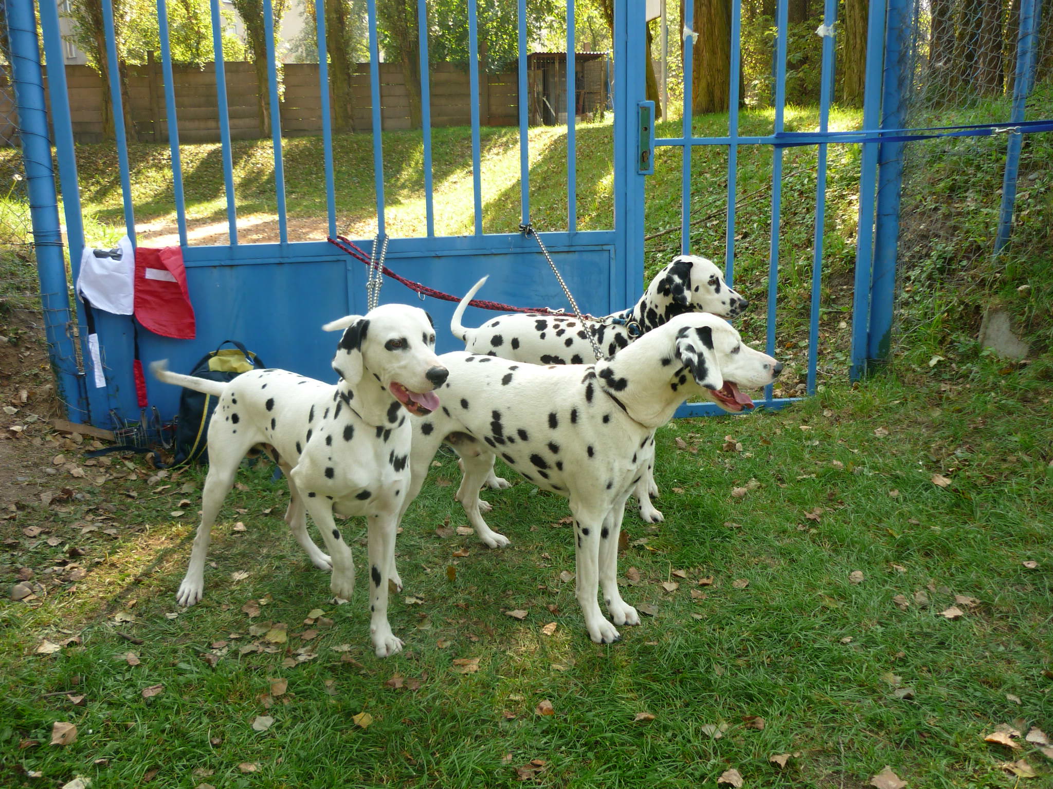 P1000561.JPG