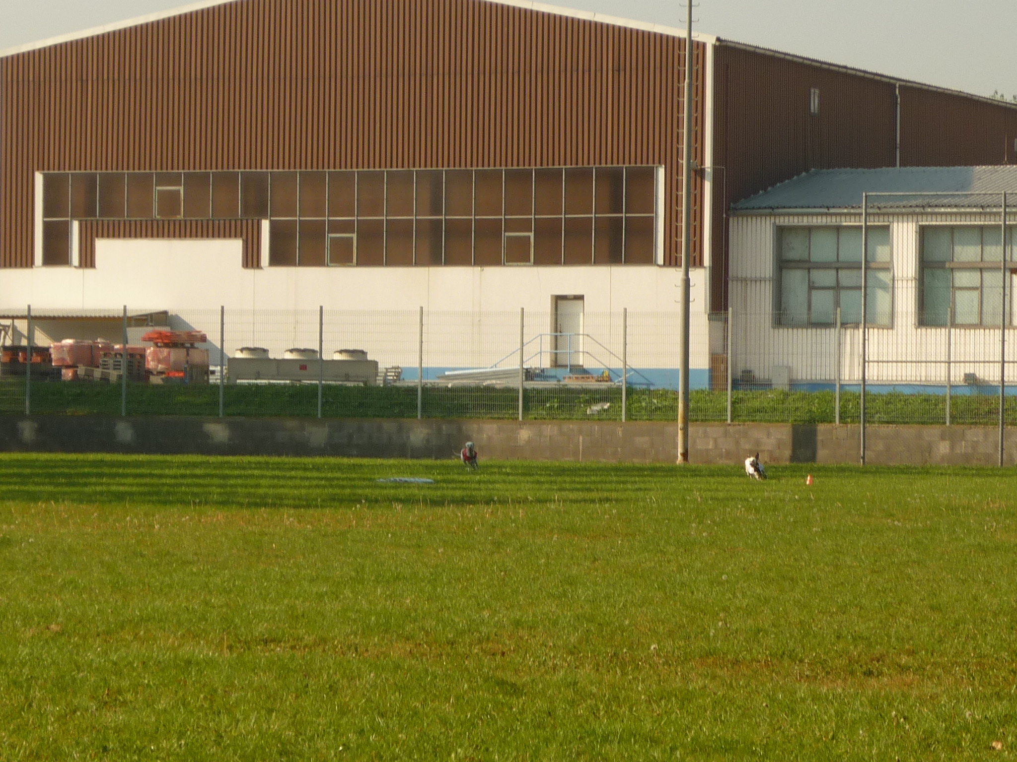 P1000547.JPG