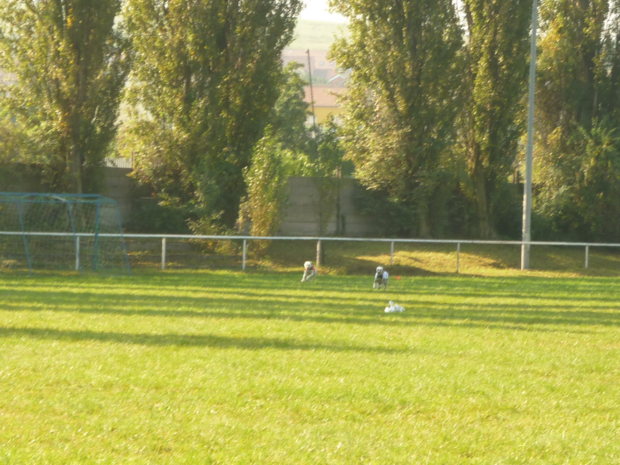 P1000548.JPG