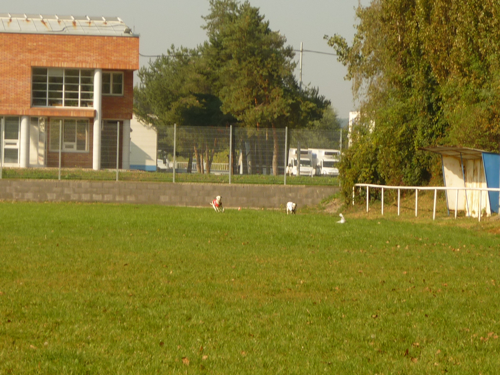 P1000550.JPG
