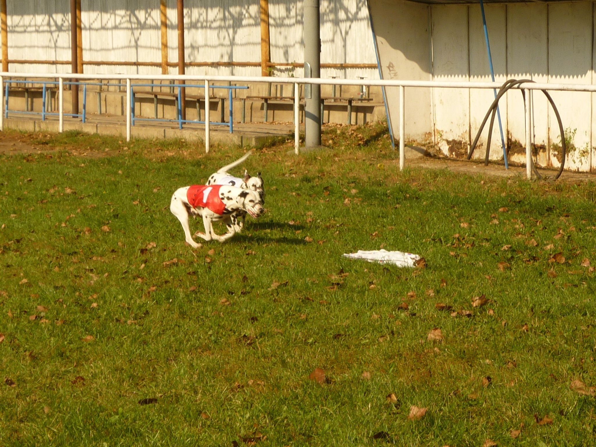 P1000551.JPG