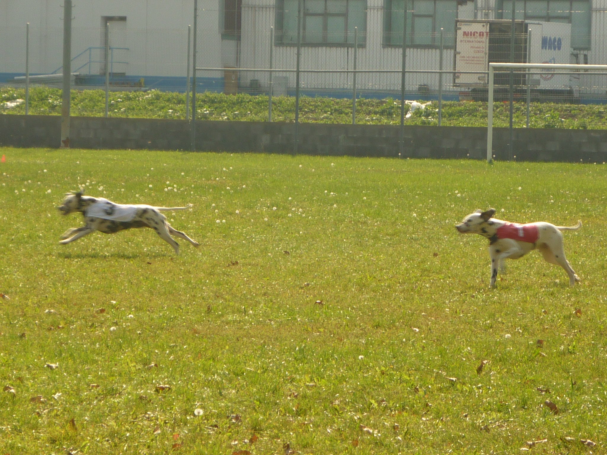 P1000563.JPG